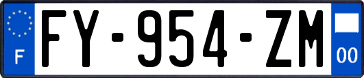 FY-954-ZM