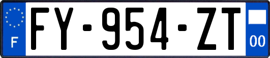 FY-954-ZT