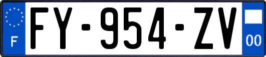 FY-954-ZV