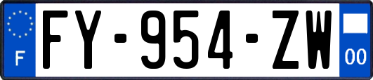 FY-954-ZW