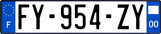 FY-954-ZY
