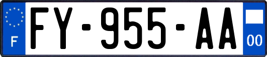 FY-955-AA