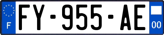 FY-955-AE