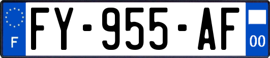 FY-955-AF