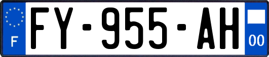 FY-955-AH