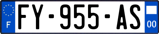 FY-955-AS