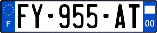 FY-955-AT