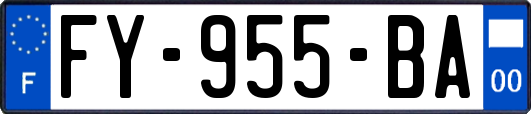 FY-955-BA