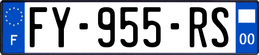FY-955-RS
