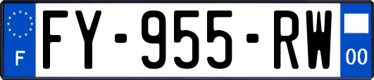 FY-955-RW