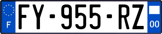 FY-955-RZ