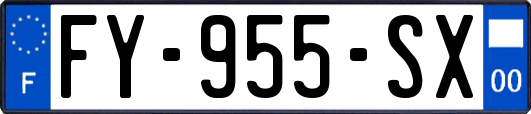 FY-955-SX