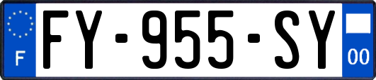 FY-955-SY