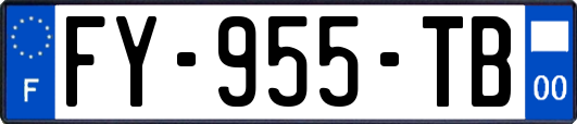 FY-955-TB