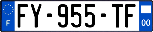 FY-955-TF