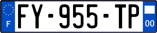 FY-955-TP
