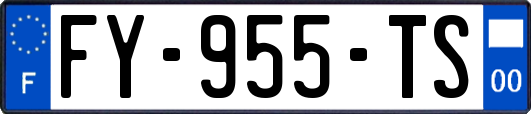 FY-955-TS