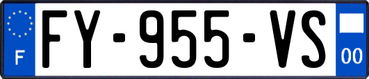 FY-955-VS