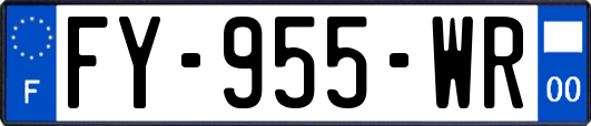 FY-955-WR