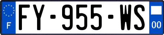 FY-955-WS
