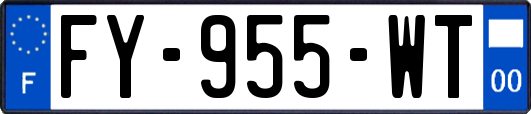 FY-955-WT