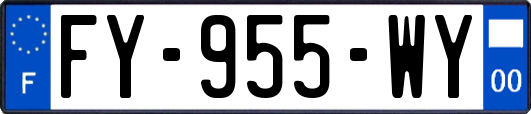 FY-955-WY
