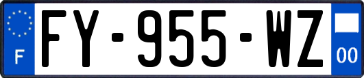 FY-955-WZ