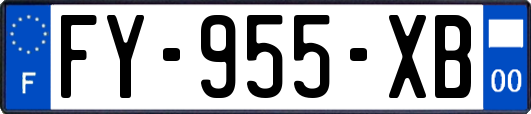 FY-955-XB