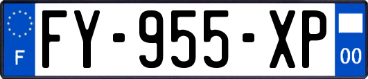 FY-955-XP