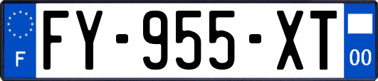 FY-955-XT