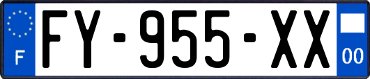 FY-955-XX