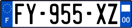 FY-955-XZ