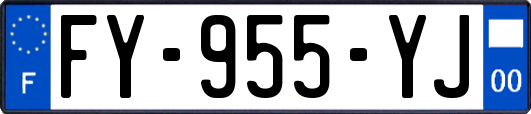 FY-955-YJ