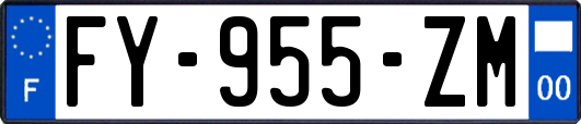 FY-955-ZM