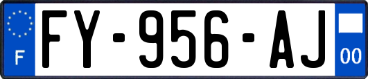 FY-956-AJ