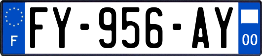 FY-956-AY