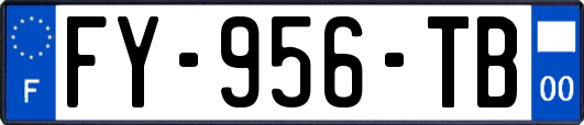 FY-956-TB