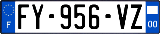 FY-956-VZ