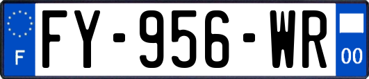 FY-956-WR