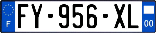 FY-956-XL