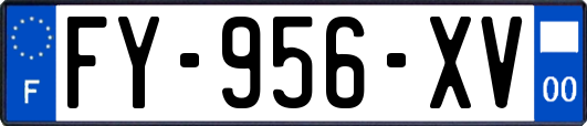 FY-956-XV