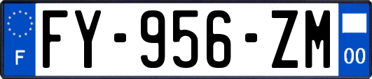FY-956-ZM