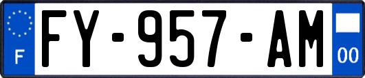 FY-957-AM