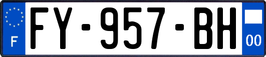 FY-957-BH