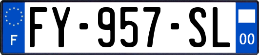 FY-957-SL