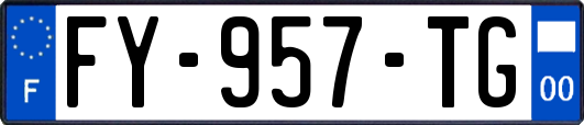 FY-957-TG