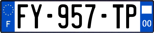 FY-957-TP