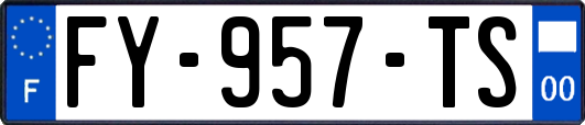 FY-957-TS