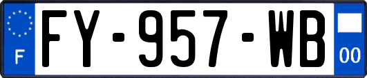 FY-957-WB