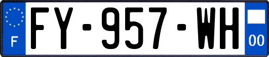 FY-957-WH